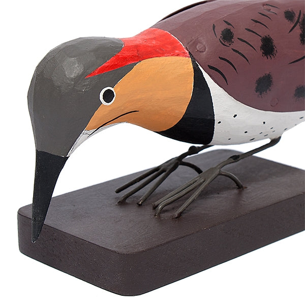 Yellow Shafted Flicker, Wood Bird