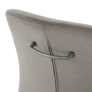 Raven Velvet Fabric Dining Side Chair In Gravel Gray (Set of 2)