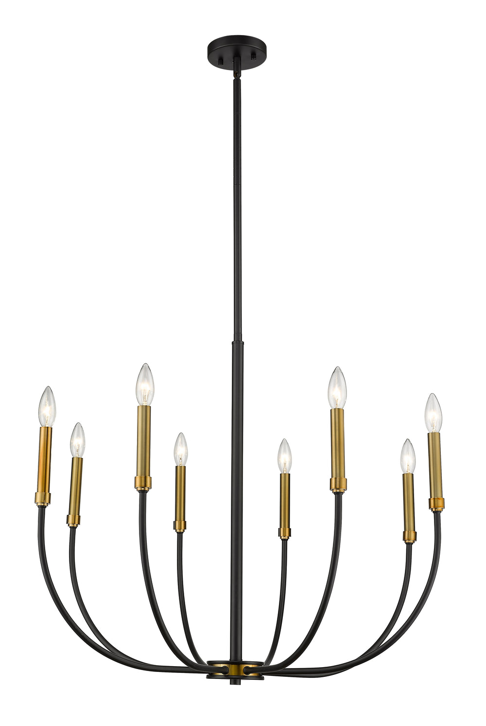 Haylie 8 Light Chandelier in Matte Black + Olde Brass Finish