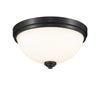 Ashton 2 Light Flush Mount in Matte Black Finish