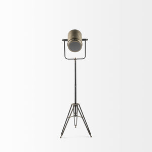 Debdou (61"H) Gold Metal Adjustable Cinema-Style Floor Lamp
