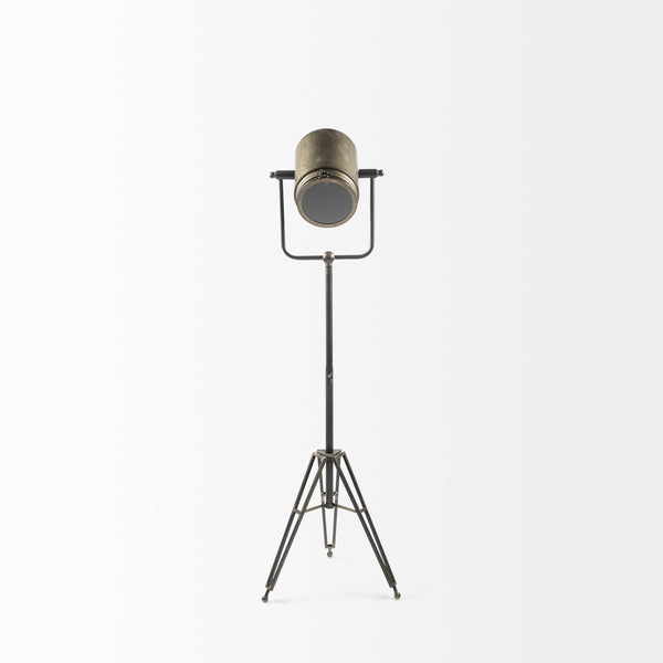 Debdou (61"H) Gold Metal Adjustable Cinema-Style Floor Lamp