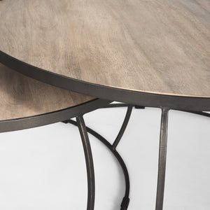 Clapp Round Light Brown W/ White Wash Wood and Silver Metal Nesting Coffee Tables (Set of 2)