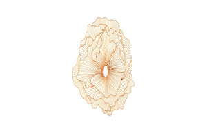 Poppy Flower Wall Art, Copper, Large