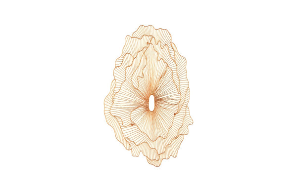 Poppy Flower Wall Art, Copper, Large