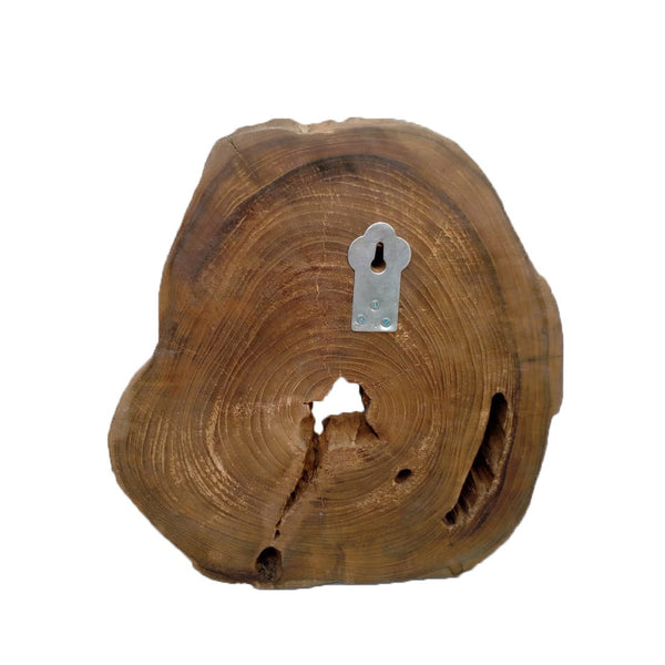Teak Branch Wall Hanging