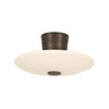 ALBUS SEMI FLUSH