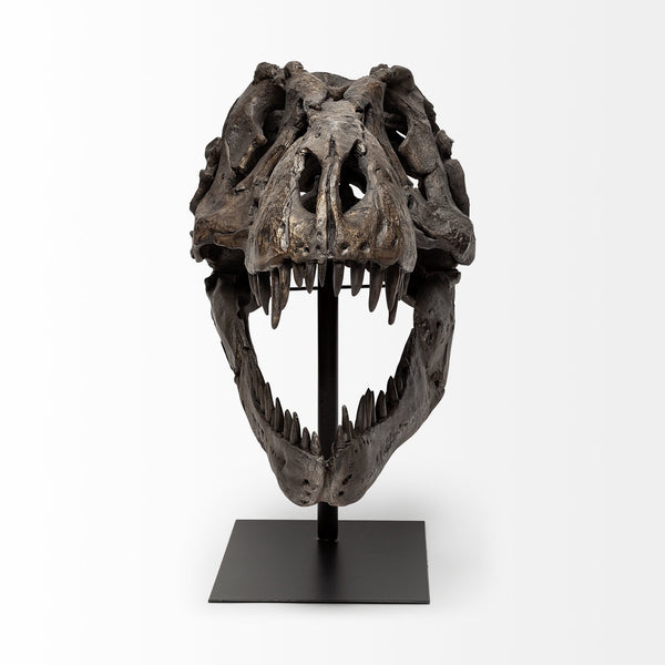 Lagrane 19L x 11W Brown Resin Tyrannosaurus T Rex Dinosaur Skull Replica