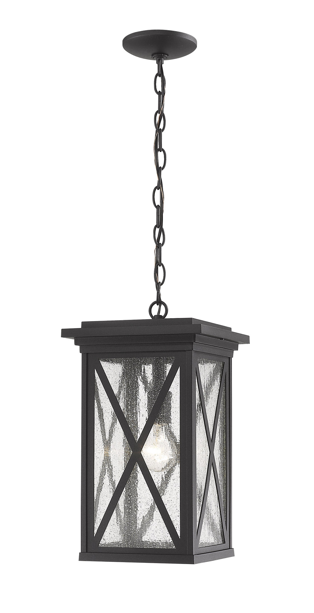 Brookside 1 Light Outdoor Chain Mount Ceiling Fixture in Black Finish