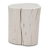 Brooks Wood Stump