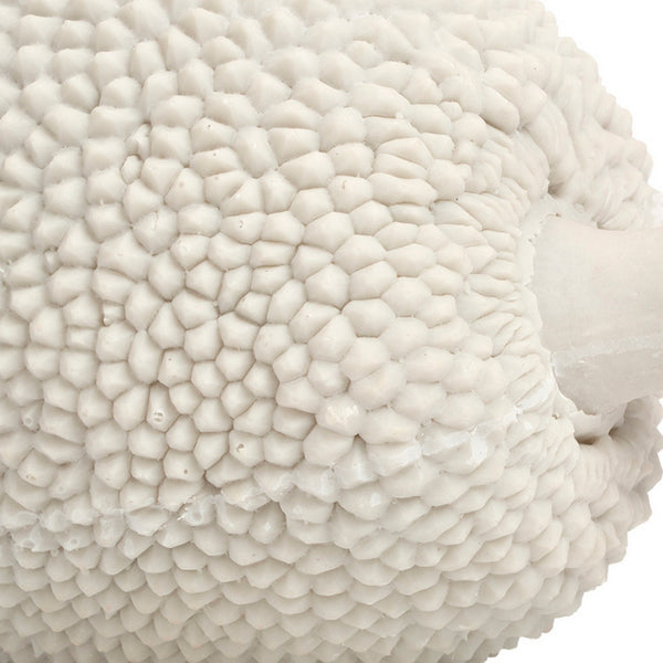 Cream Jackfruit 16.5"L Resin