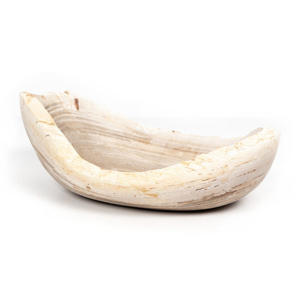 Oval Petrified Wood Bowl In Petrified Wood