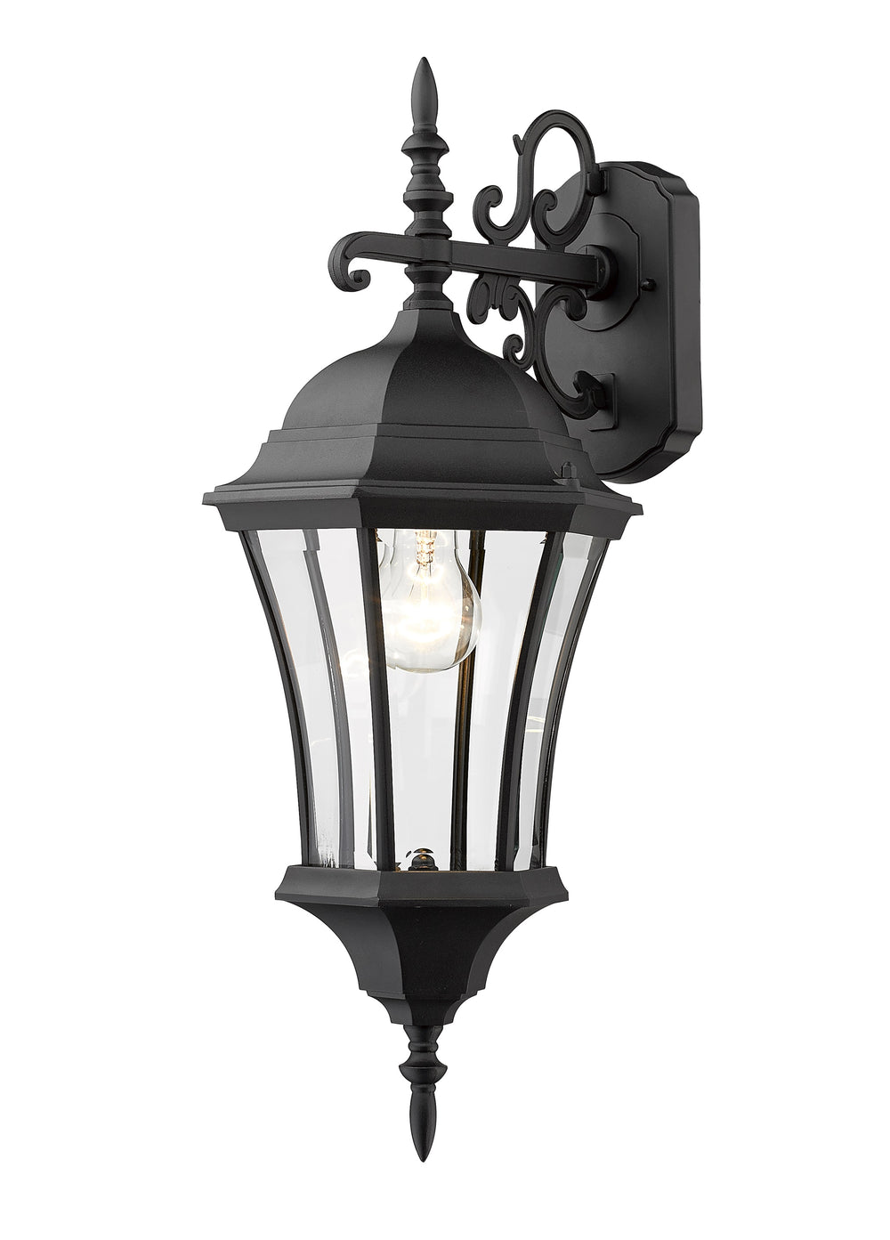 Wakefield Outdoor Wall Light in Black Finish