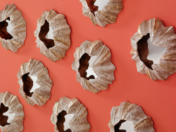 Barnacle Wall Art