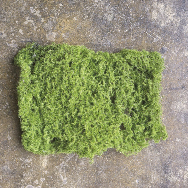 Moss Clump 9.5" x 7"