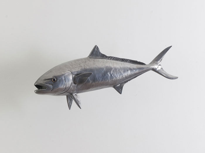 Yellow Tailed King Fish, Polished Aluminum