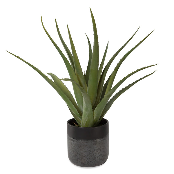 Tucson Aloe Planter
