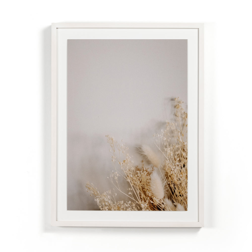 Dried Floral I By Annie Spratt