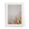 Dried Floral I By Annie Spratt