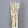 Bleached Willow Bunches Loose (11 bunches shown)