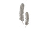 Feathers Wall Art, Silver Leaf, Set of 2, Large
