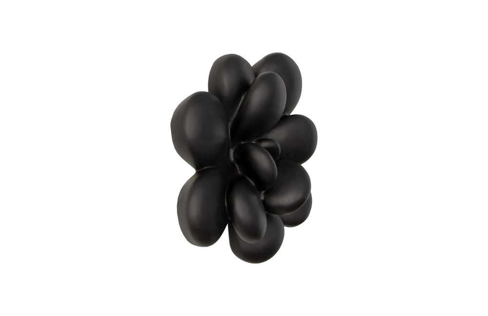 Oviferum Succulent Wall Art, Smallooth Matte Black