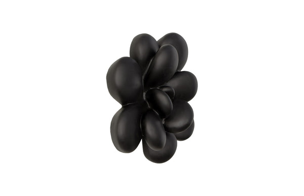 Oviferum Succulent Wall Art, Smallooth Matte Black