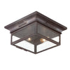 Newton Flush Mount