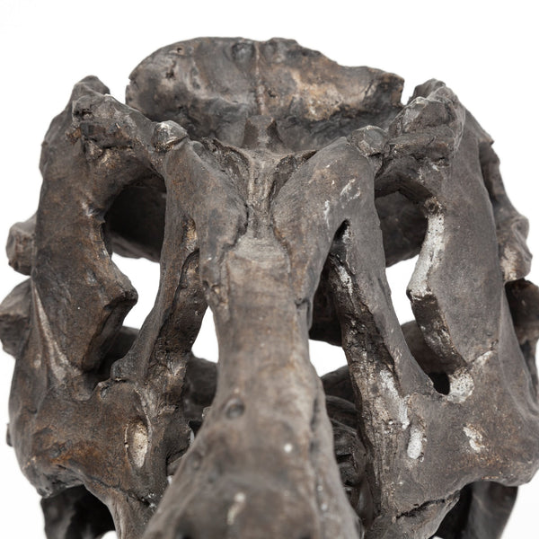 Jurassic 6L x 10W Brown Resin Tyrannosaurus Skull Replica