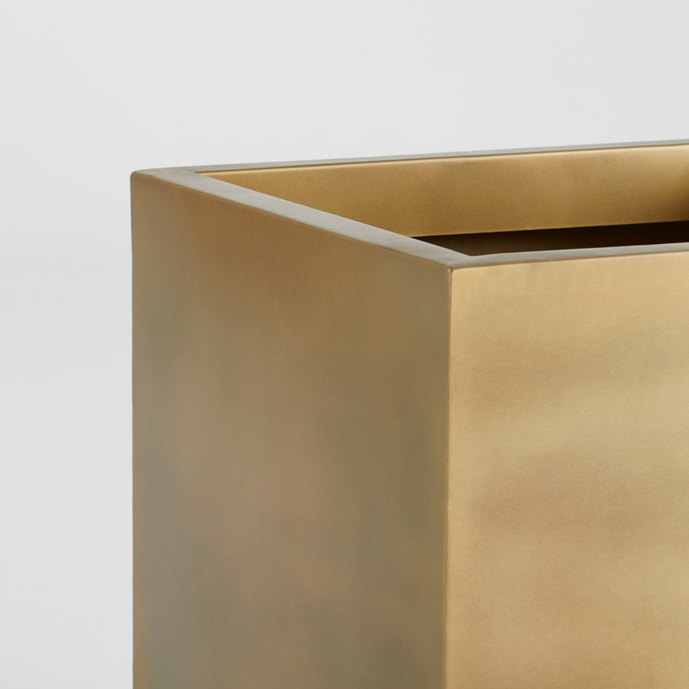 Aster Planter