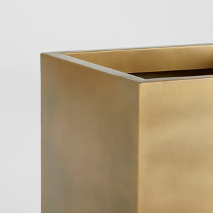 Aster Planter
