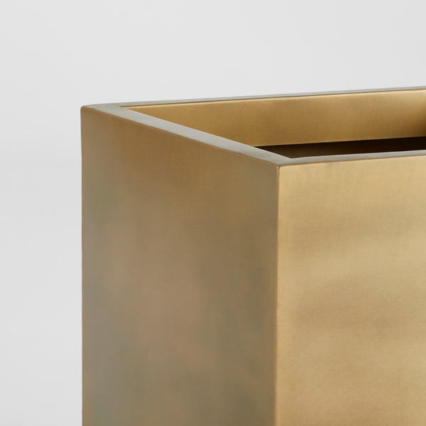 Aster Planter