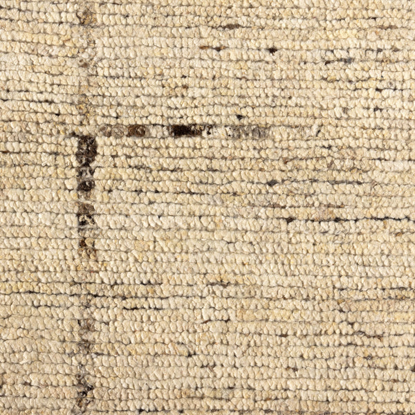 Shervin Hand In Knotted Rug In Shervin In 9'X12'