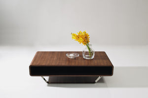 Roberson Modern Coffee Table