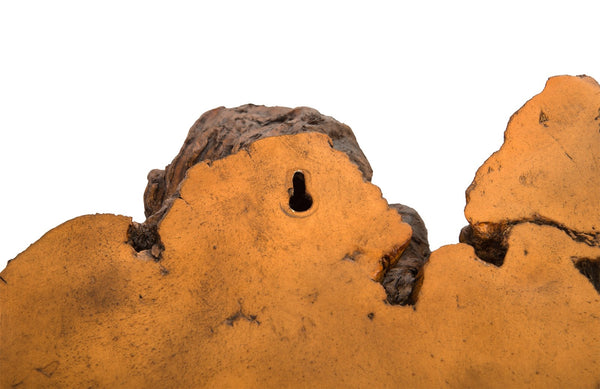 Burled Root Wall Art, Faux Bois, MD