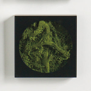 Mini Green Wall 12"SQ Moss