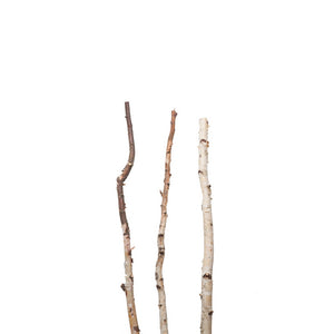 Natural Birch Poles