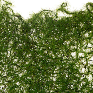 Moss Clump 9.5" x 7"