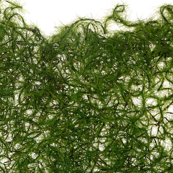 Moss Clump 9.5" x 7"