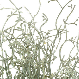 Tumble Weed, Grey 16.5"