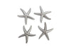 Star Fish, Silver Leaf, Set Of 4, Small
