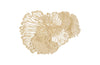 Flower Wall Art, Ivory, Small
