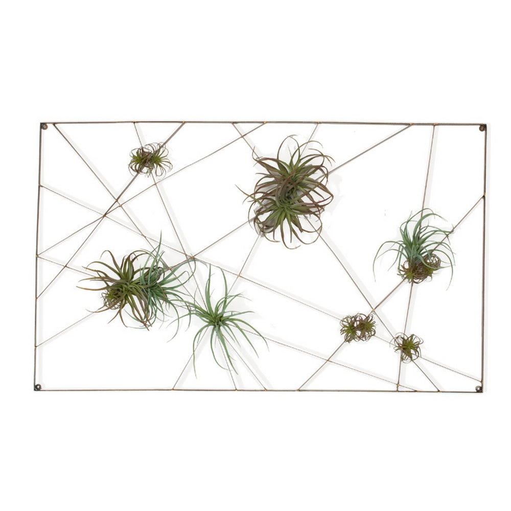 Intersect Wall Art with Tillandsia Mix