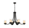 Willow 6 Light Chandelier in Matte Black Finish