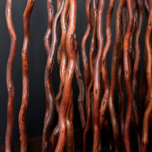Kuwa Branches