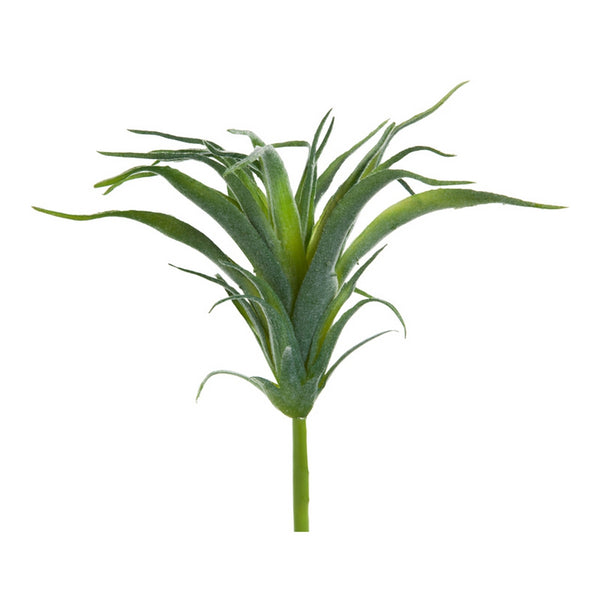 Ionantha Air Plant w/ Flocking
