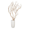 Sandblasted Manzanita Tree in Small Linea Planter