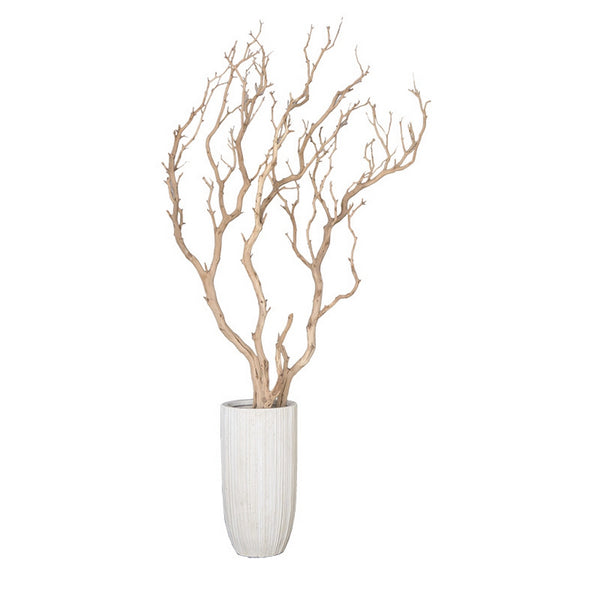 Sandblasted Manzanita Tree in Small Linea Planter