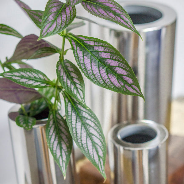 Tube Vase with Wood Base