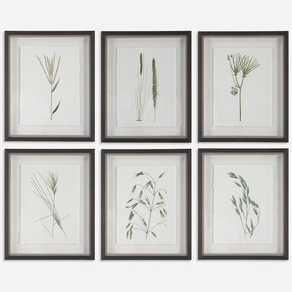 Forest Finds Framed Prints, S/6